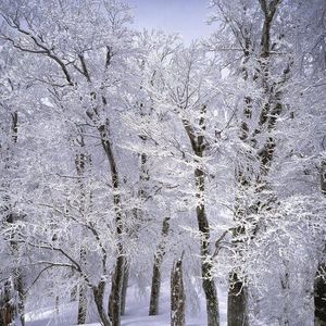 Meet your Posher, Eileen